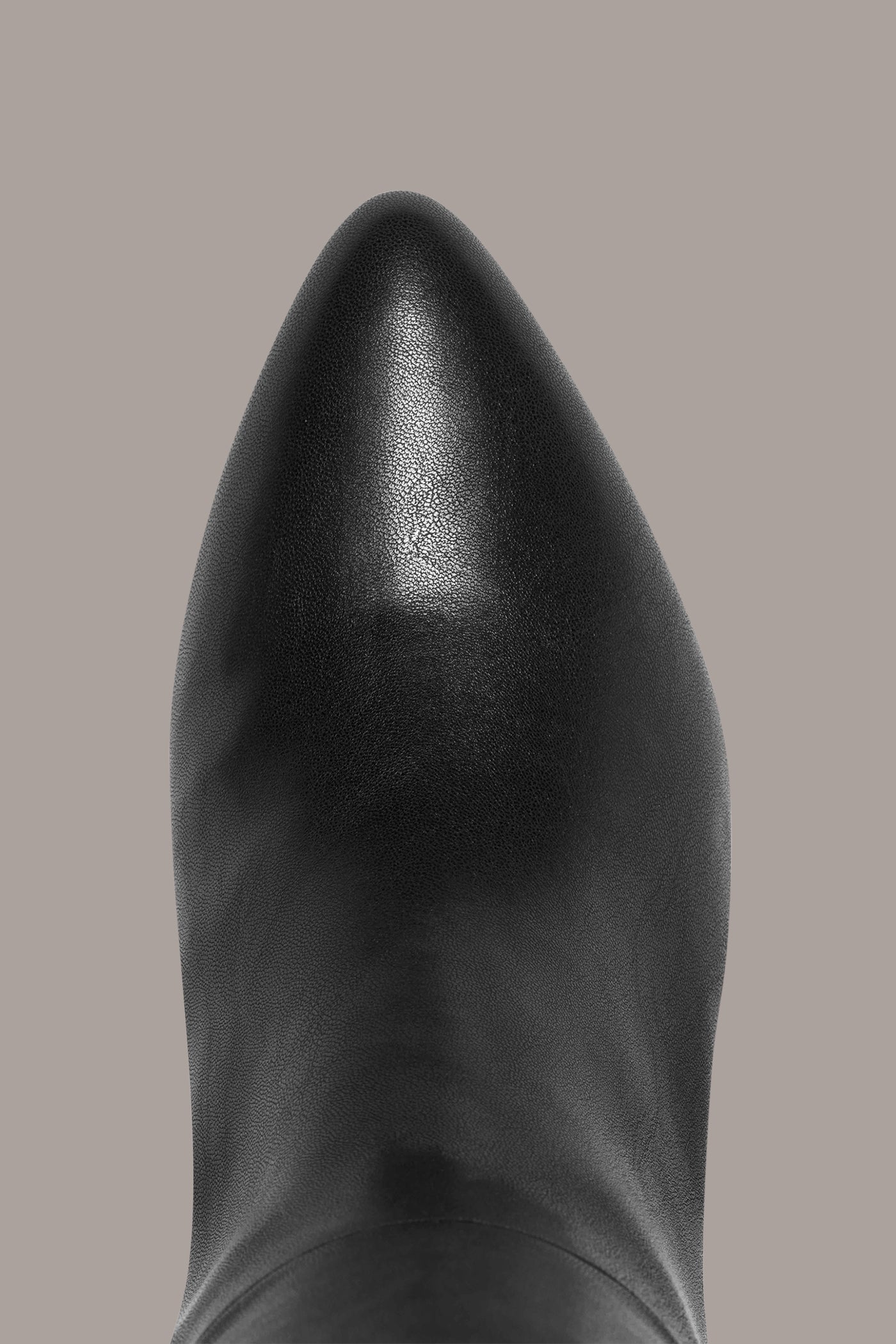RENEE TALL BOOT | View 2 | Boots & Booties RENEE TALL BOOT | View 2 | Boots & Booties