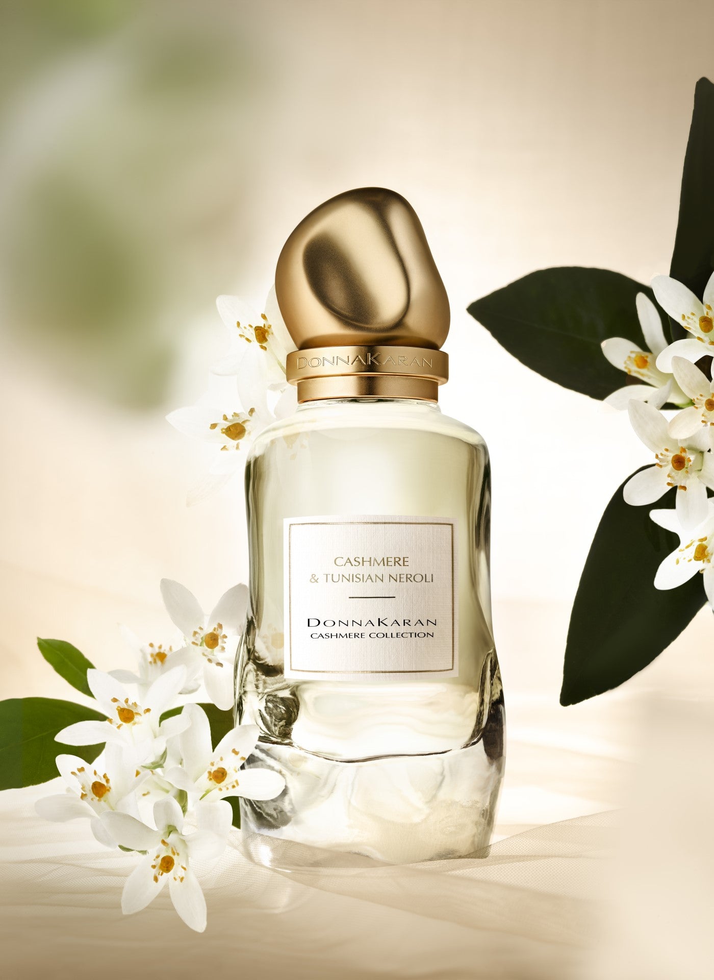 CASHMERE COLLECTION TUNISIAN NEROLI 100ML