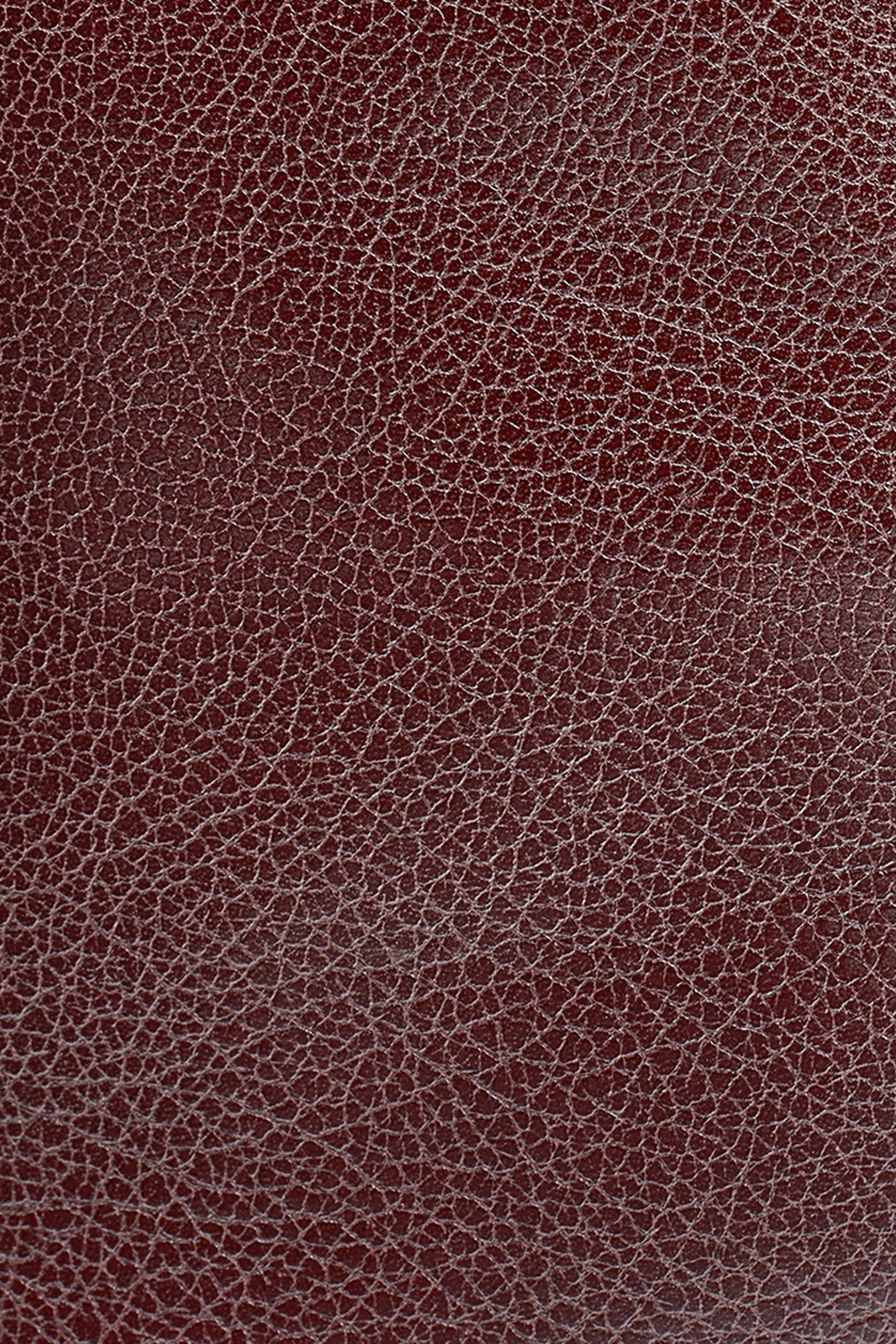 LENO LEATHER SMALL TOTE VIEW 10