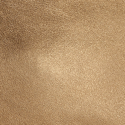 AMAGANSETT METALLIC LEATHER CROSSBODY BAG VIEW 11