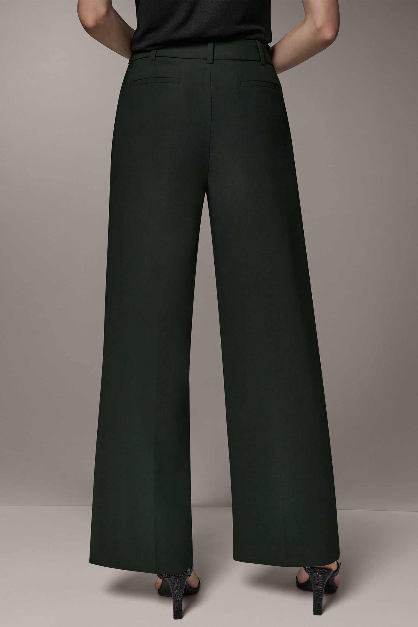 HIGH-RISE PLEATED WIDE-LEG PANT VIEW 3