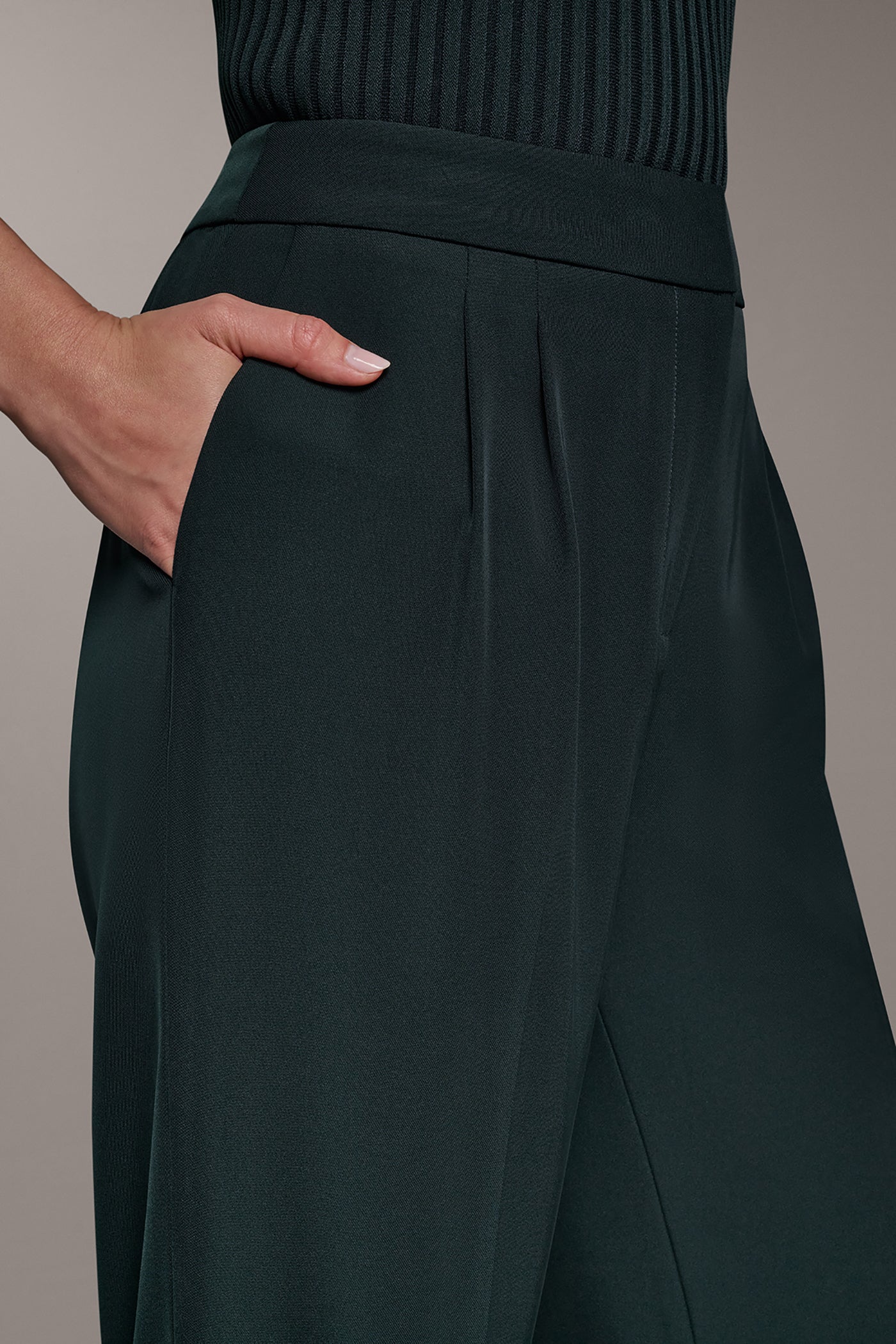 HIGH-RISE PLEATED WIDE-LEG PANT VIEW 4