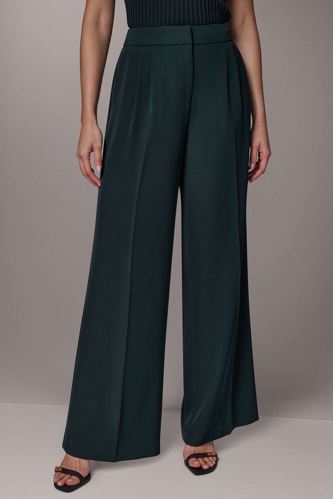 HIGH-RISE PLEATED WIDE-LEG PANT VIEW 1