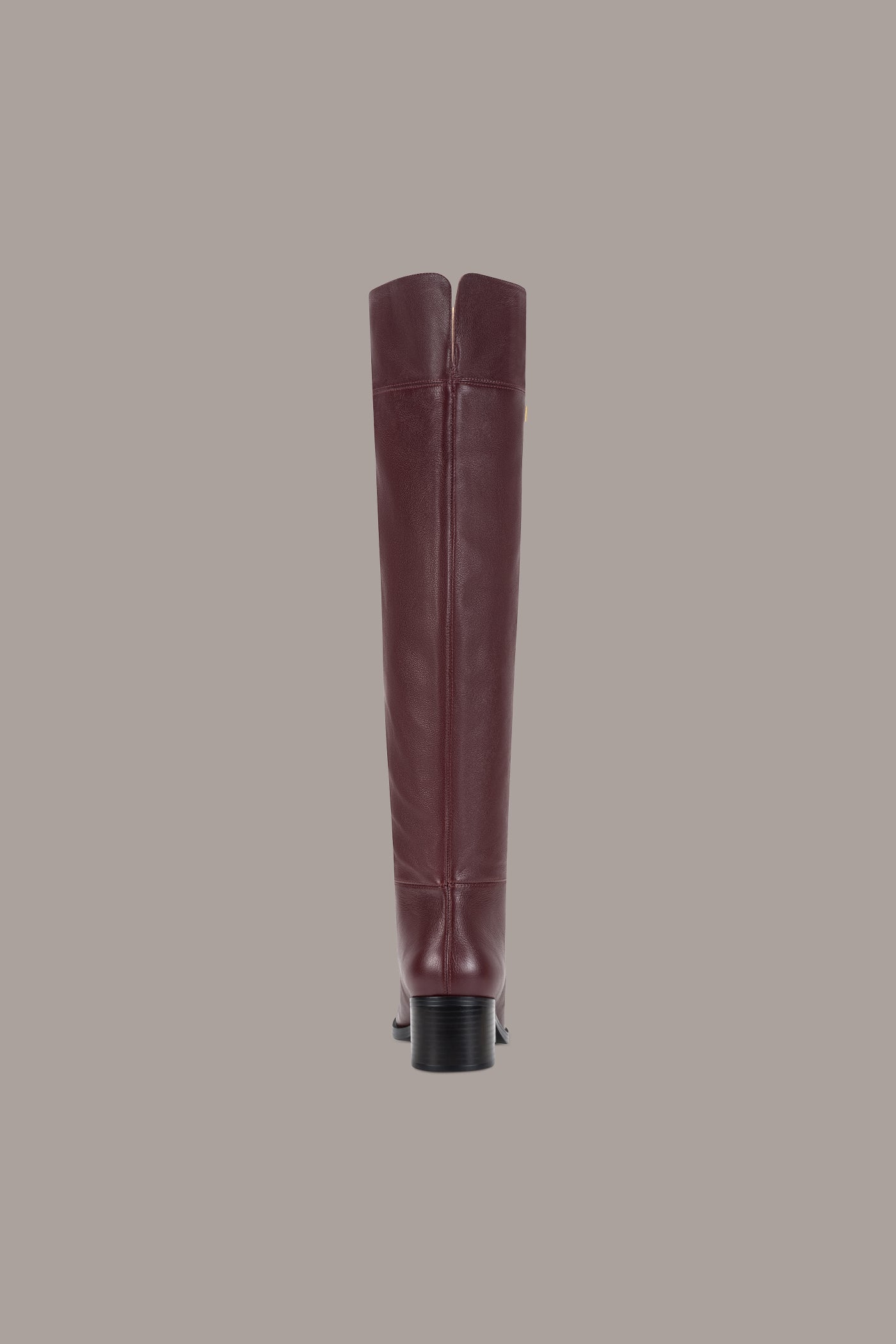 HERA LEATHER TALL BOOT VIEW 3